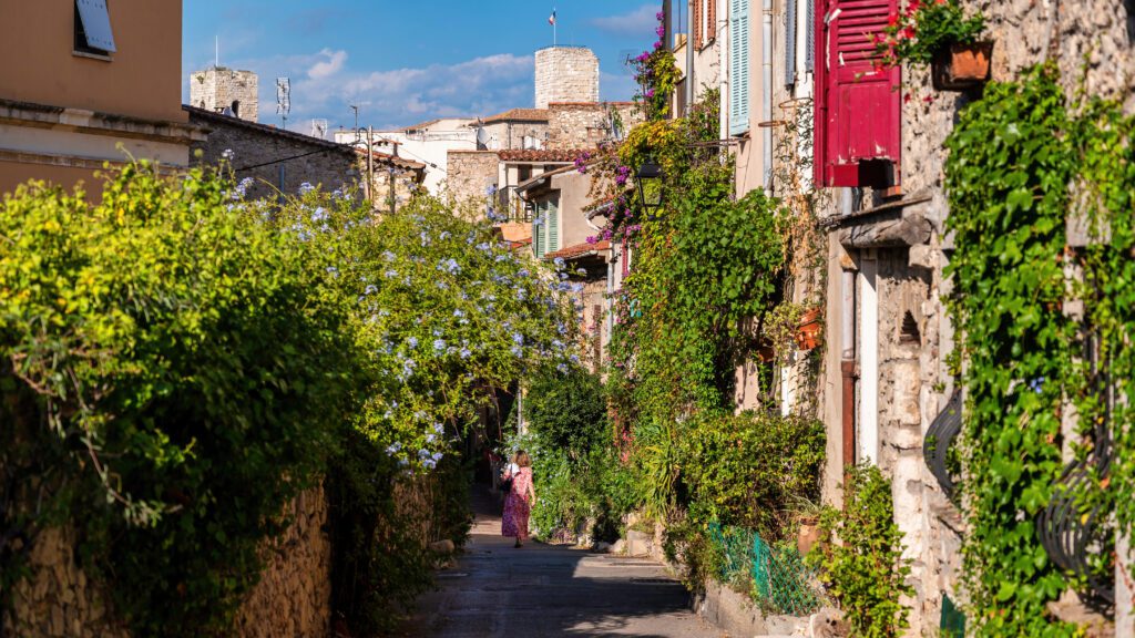 Provence
